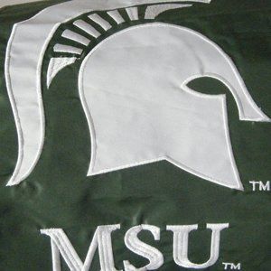 Michigan State University School Banner